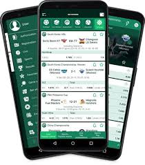 Découvrez les Secrets de Betwinner  Une Révolution dans les Paris en Ligne