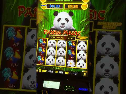 Experience the Thrill of Games at Online Casino Spinpanda Experience the Thrill of Games at Online Casino Spinpanda