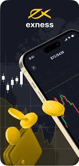Exness Account Comparison Understanding the Options Exness Account Comparison Understanding the Options